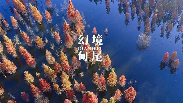 奔驰主动刹车系统怎么匹配？游戏画面