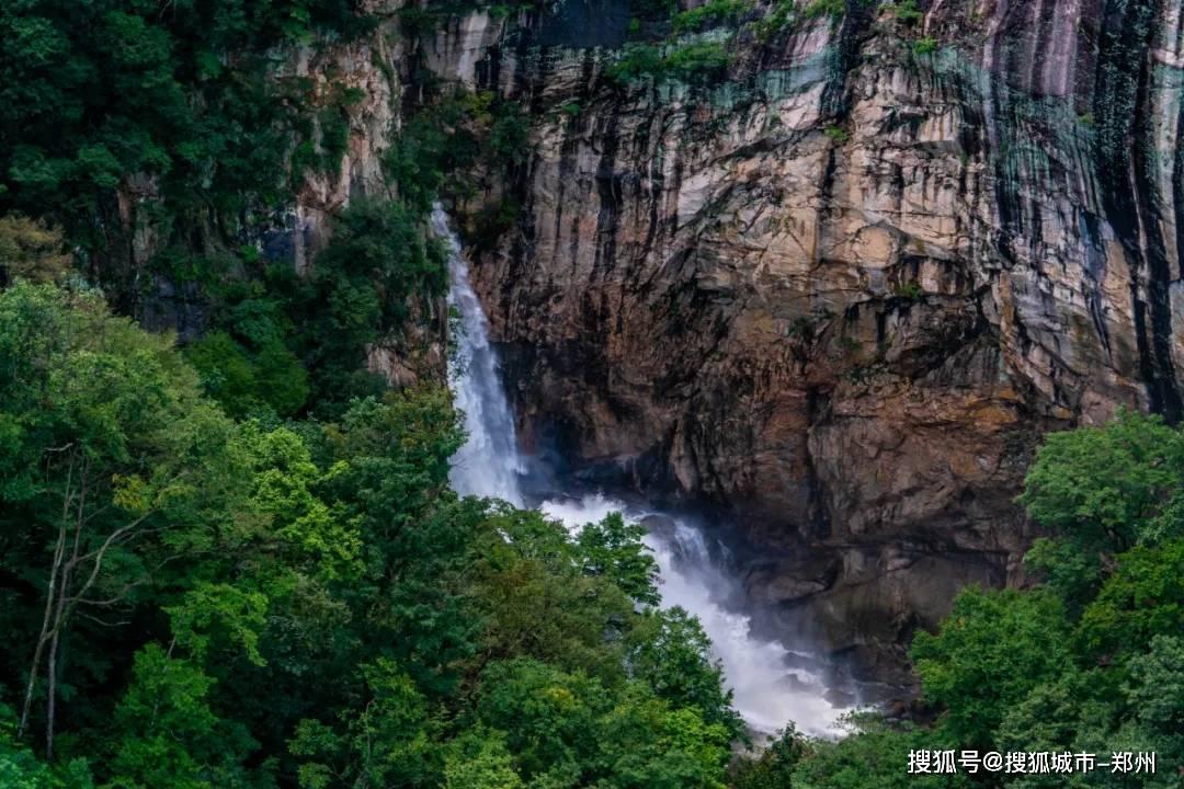 卡通小车找不同