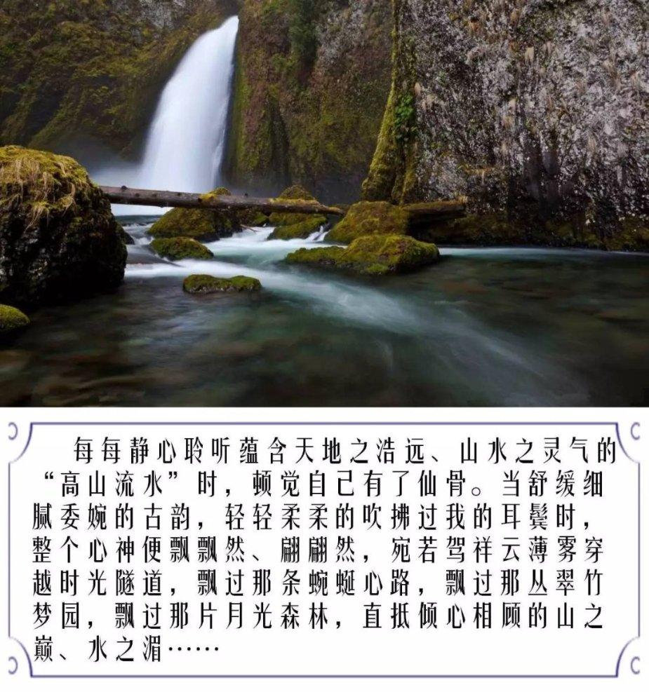 月光影视